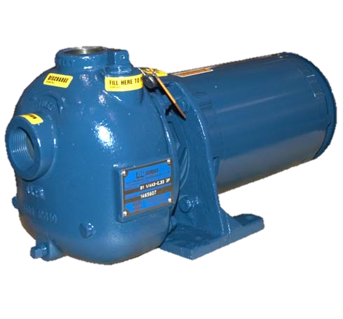 Gorman-Rupp 81 1/4A3-E.33 3P 1.25" Self Priming Centrifugal Pump ...