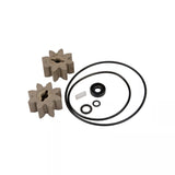 GPI EZ-8 Fuel Transfer Pumps Rebuild Kit - Image 2